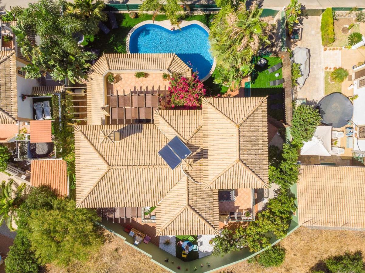 Oásis Tropical, Jardim E Piscina! Appartamento *